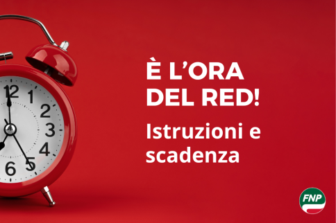 RED 2025: c'è tempo fino al 28 febbraio 2026  Chi deve presentarlo e cosa fare